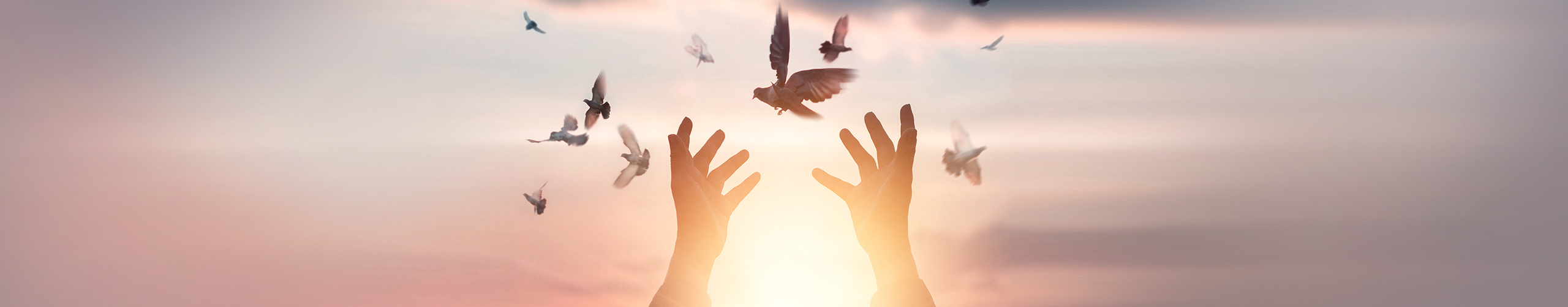 About Explore the path to a meaningful life guided by love.